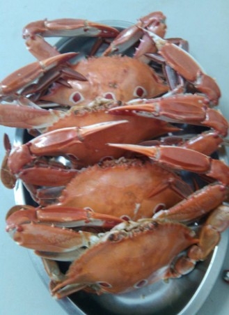 QQ图片20140818140258.jpg