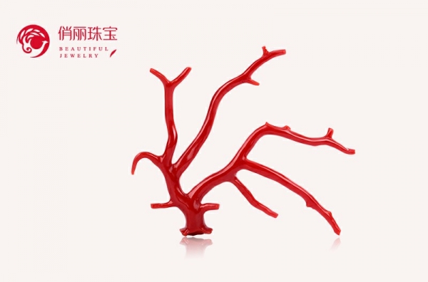 俏丽珠宝