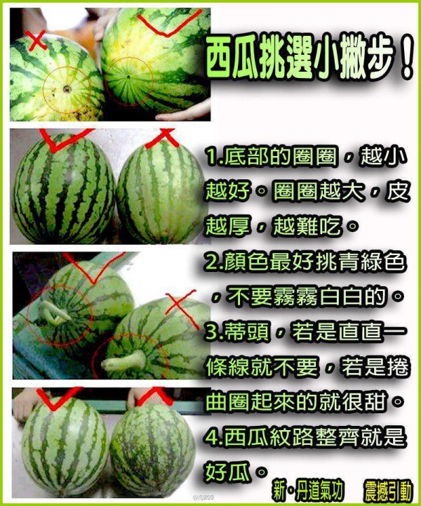 西瓜挑選